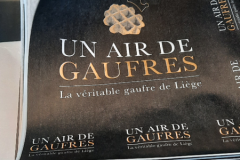 un-air-de-gaufres_2